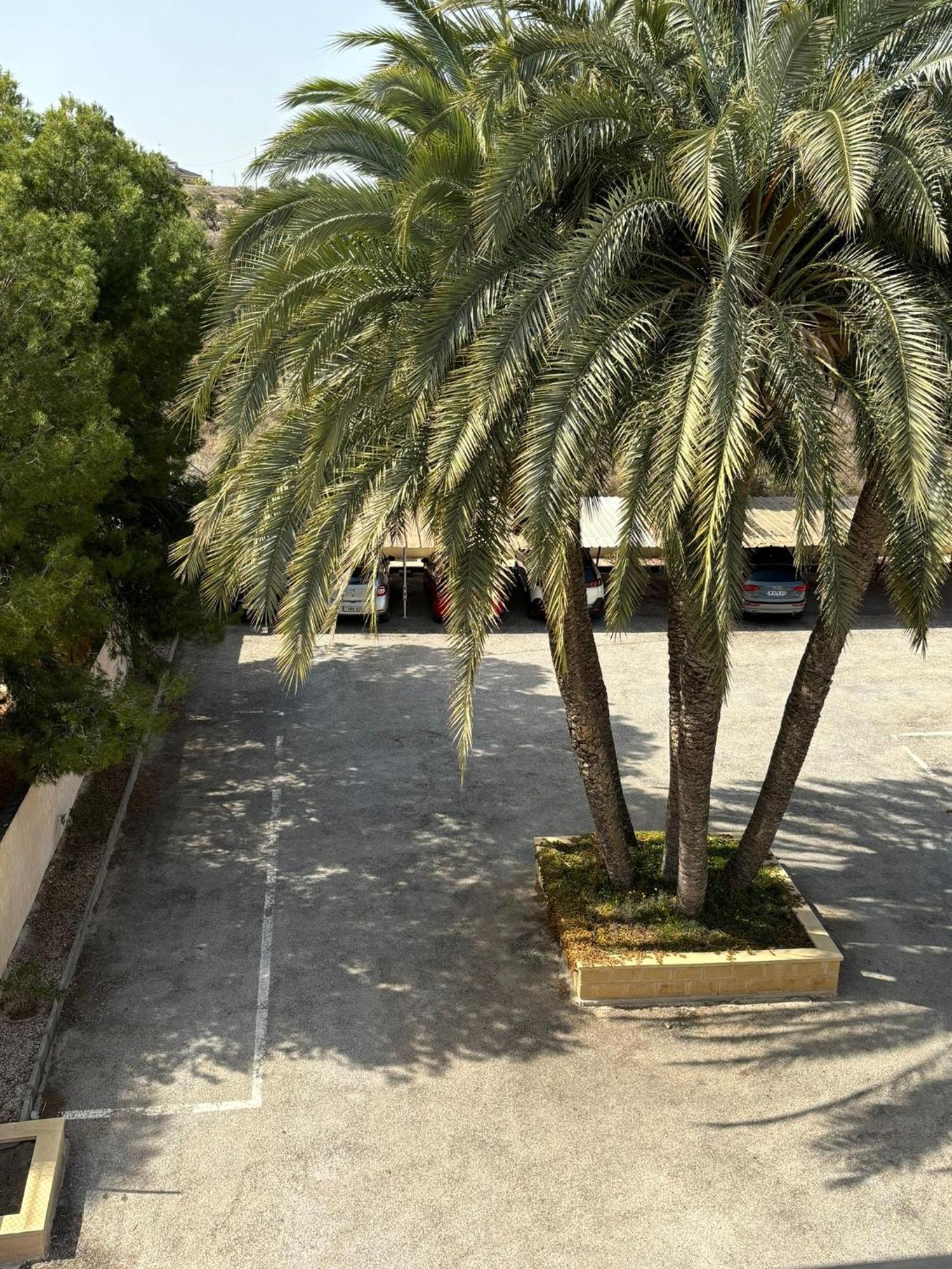 Apartamentos Congo El Campello Exterior photo